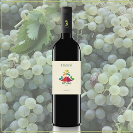 ATHAL (clicca per scheda prodotto)